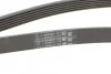 Ремень поликлиновый Ford Tranzit Connect 1,8d 07> ContiTech Contitech 6PK1743 (фото 3)