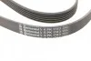 Ремень поликлиновый Ford Tranzit Connect 1,8d 07> ContiTech Contitech 6PK1743 (фото 4)