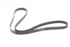 Ремень поликлиновый Ford Tranzit Connect 1,8d 07> ContiTech Contitech 6PK1743 (фото 5)