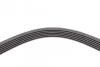 Ремень поликлиновый VW LT 2,5d ContiTech Contitech 6PK1750 (фото 4)