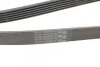 Ремень генератора поликлиновый CONTINENTAL Contitech 6PK1800 (фото 3)