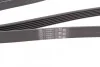 Ремень поликлиновый Renault Logan 1,6 16V 06>09, Fiat Doblo 1,9JTD 1,9Mjet 01> ContiTech Contitech 6PK1815 (фото 3)
