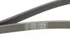 Ремень генератора поликлиновый CONTINENTAL Contitech 6PK1822 EXTRA (фото 3)