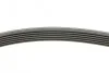 Ремень поликлиновый Mitsubishi Outlander 2,0i 03>07 ContiTech Contitech 6PK1830 (фото 2)