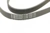 Ремень поликлиновый Mitsubishi Outlander 2,0i 03>07 ContiTech Contitech 6PK1830 (фото 3)