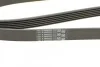 Ремень поликлиновый Mitsubishi Outlander 2,0i 03>07 ContiTech Contitech 6PK1830 (фото 4)