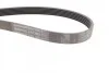 Ремень поликлиновый Mazda 3 1,6i 09> ContiTech Contitech 6PK1863 (фото 2)