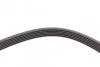 Ремень поликлиновый Mazda 3 1,6i 09> ContiTech Contitech 6PK1863 (фото 3)