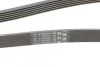 Ремень поликлиновый Skoda Rapid 1,2i 12> ContiTech Contitech 6PK1870 (фото 3)