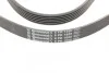 Ремень поликлиновый Mitsubishi Outlander 2,4i 03>06, Grandis 2,4i 05>11 ContiTech Contitech 6PK1880 (фото 4)