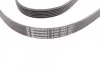 Ремень поликлиновый Chevrolet Evanda 2,0i 05> ContiTech Contitech 6PK1885 (фото 3)