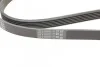 Ремень поликлиновый Opel Omega B 2,0i ContiTech Contitech 6PK1900 (фото 3)
