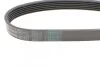 Ремень поликлиновый Chevrolet Captiva 2,4i 11>, Opel Insignia 2,0t 07> ContiTech Contitech 6PK1980 (фото 3)