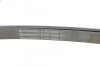 Ремень поликлиновый MB E220CDI 10> ContiTech Contitech 6PK2000 (фото 4)