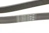 Ремень поликлиновый Mazda 3 1,6i 03>07 ContiTech Contitech 6PK2013 (фото 3)