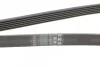 Ремень генератора поликлиновый CONTINENTAL Contitech 6PK2040 (фото 3)