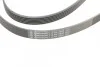 Ремень поликлиновый Hyundai Santa Fe 2,7i 06>, Suzuki Grand Vitara 2,4i 09>15 ContiTech Contitech 6PK2050 (фото 4)