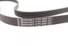 Ремень поликлиновый MB Sprinter 2,3d 2,9d 96>00 ContiTech Contitech 6PK2080 (фото 4)