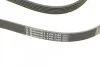 Ремень поликлиновый Lexus LS460 06>, Ford Focus I 1,8i 2,0i, Jeep Grand Cherokee 3,0d 5,7i 10> ContiTech Contitech 6PK2100 (фото 3)