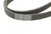 Ремень поликлиновый Lexus LS460 06>, Ford Focus I 1,8i 2,0i, Jeep Grand Cherokee 3,0d 5,7i 10> ContiTech Contitech 6PK2100 (фото 4)