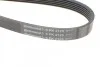 Ремень поликлиновый Hyundai iX35 Santa Fe, Kia Optima Sorento 2,4i 12> ContiTech Contitech 6PK2125 (фото 4)