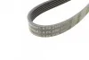 Ремень поликлиновый Subaru Forester 2,0i 2,5i 13> ContiTech Contitech 6PK2155 (фото 4)
