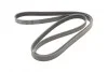 Ремень поликлиновый Subaru Forester 2,0i 2,5i 13> ContiTech Contitech 6PK2155 (фото 5)