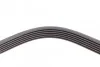 Ремень поликлиновый Toyota LC200, Sequoia 4,7i 07> ContiTech Contitech 6PK2225 (фото 3)