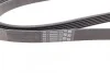 Ремень поликлиновый Lexus LX 470, Toyota LC100 4,7i 04>07, Mazda 6 1,8 2,0 07> ContiTech Contitech 6PK2241 (фото 3)