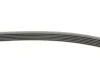 Ремень поликлиновый Nissan X-Trail 2,0i 2,5i 01>08, 2,0i 08> ContiTech Contitech 6PK2245 (фото 2)