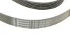 Ремень поликлиновый Nissan X-Trail 2,0i 2,5i 01>08, 2,0i 08> ContiTech Contitech 6PK2245 (фото 3)