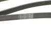 Ремень поликлиновый Nissan X-Trail 2,0i 2,5i 01>08, 2,0i 08> ContiTech Contitech 6PK2245 (фото 4)