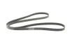Ремень поликлиновый Nissan X-Trail 2,0i 2,5i 01>08, 2,0i 08> ContiTech Contitech 6PK2245 (фото 5)