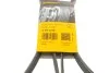 Ремень поликлиновый Nissan X-Trail 2,0i 2,5i 01>08, 2,0i 08> ContiTech Contitech 6PK2245 (фото 6)
