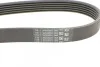 Ремень поликлиновый Nissan X-Trail 2,0 01>, Primera P12 2,0 01> AC+ ContiTech Contitech 6PK2250 (фото 3)