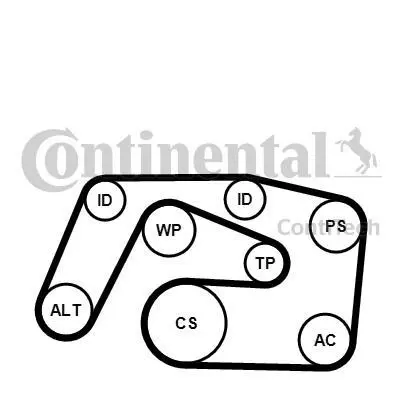 Комплект пасу поліклинового MB Vito (W639) 03- Contitech 6PK2271K1 (фото 1)