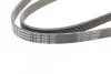 Ремень поликлиновый Mazda 6 2,0 2,5 07>, CX-7 2,3t 08> ContiTech Contitech 6PK2285 (фото 3)