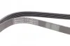 Ремень поликлиновый MB S220 280i 320i 420i 500i ContiTech Contitech 6PK2390 (фото 2)