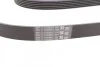 Ремень поликлиновый MB ML164 350i 05>09, S221 280i 350i 500i ContiTech Contitech 6PK2404 (фото 2)