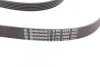Ремень поликлиновый MB ML164 350i 05>09, S221 280i 350i 500i ContiTech Contitech 6PK2404 (фото 3)