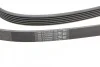Ремень поликлиновый Audi Q7 3,0TDI 06>10, VW Touareg 3,0 TDI >10 ContiTech Contitech 6PK2490 (фото 3)