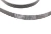 Ремень поликлиновый Kia Sorento 2,0d 2,2d 09>, Audi A6 2,7d 3,0d 08>11 ContiTech Contitech 6PK2498 (фото 3)