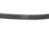 Ремень поликлиновый Hyundai Sonata 10> 2,0i, Santa Fe 2,4i GDI 12> ContiTech Contitech 6PK2550 (фото 2)