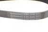 Ремень поликлиновый Hyundai Sonata 10> 2,0i, Santa Fe 2,4i GDI 12> ContiTech Contitech 6PK2550 (фото 4)