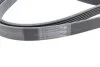 Ремень поликлиновый Mitsubishi Lancer X 2,0i, Outlander XL 2,0i 2,4i, ASX 1,8i 2,0i ContiTech Contitech 6PK2563 (фото 3)