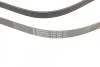Ремень поликлиновый VW Crafter 2,5TDI 06> ContiTech Contitech 6PK2581 (фото 4)
