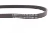 Ремень поликлиновый PSA Berlingo Partner 1,6vti 10>, C4 308 08> ContiTech Contitech 6PK905 EXTRA (фото 2)