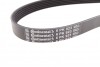 Ремень генератора поликлиновый CONTINENTAL Contitech 6PK923 (фото 2)