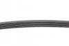 Ремень поликлиновый PSA Berlingo Partner II 1,6d 08>, Ford Fiesta 1,4d 08> ContiTech Contitech 6PK976 (фото 2)