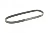 Ремень поликлиновый PSA Berlingo Partner II 1,6d 08>, Ford Fiesta 1,4d 08> ContiTech Contitech 6PK976 (фото 4)